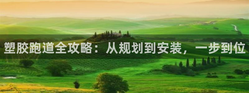 尊龙手机官方客户端下载安装：塑胶跑道全攻略：从规划到安装，一步到位